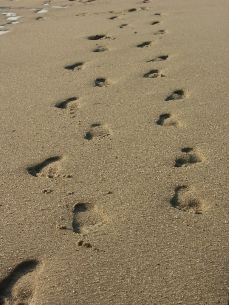 lead me footprints in the sand