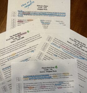 photo of four texts for striving readers in worksheet form with colored markings indicating teaching points